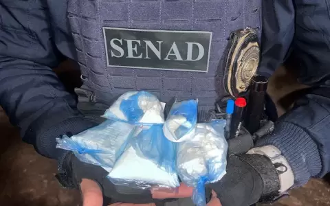 Coca�na incautada durante el operativo de la Senad.