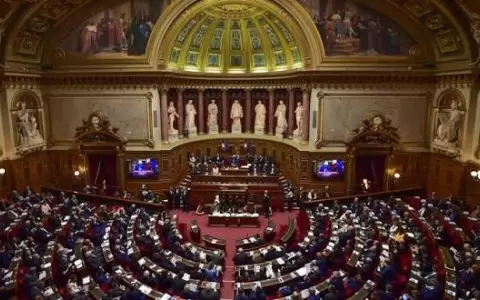 Senado franc�s