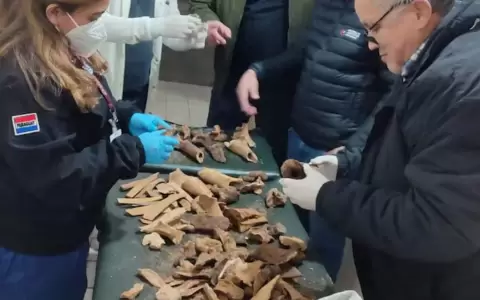 Restos �seos hallados en la ex c�rcel de Tacumb�.