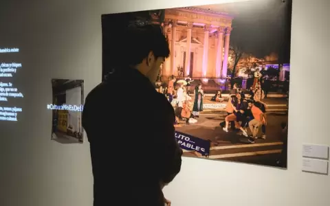 Vista de la muestra.