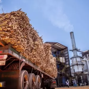 Planta Alcoholera de Petropar en Mauricio Jos� Troche.