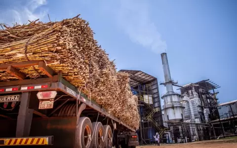 Planta Alcoholera de Petropar en Mauricio Jos� Troche.
