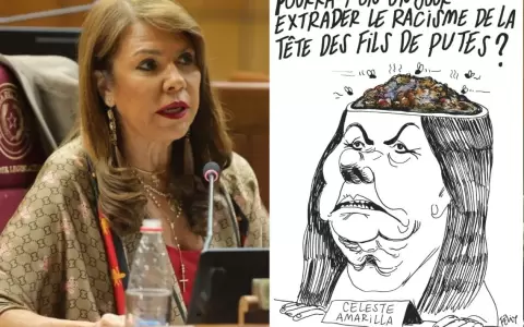 Caricatura de la senadora Celeste Amarilla.