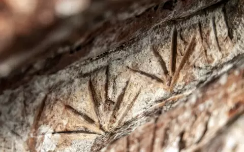 Una de las fotograf�as de la muestra.