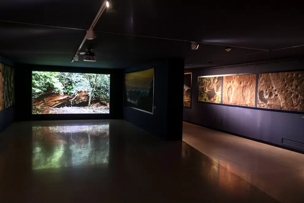Audiovisual y muro. Cortes�a
