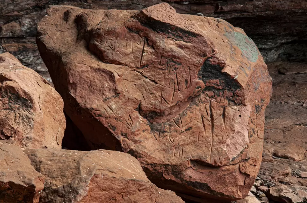 Piedra desprendida lorito. Cortes�a