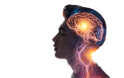 Aprender varios idiomas podr�a mantener un cerebro m�s joven.