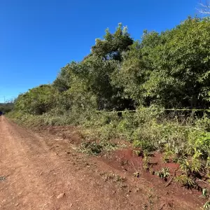 Hallan sin vida a joven desaparecida en Encarnaci�n: investigan las circunstancias de su muerte