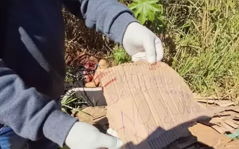 Sello de los autodeniminados Justicieros de la Frontera.