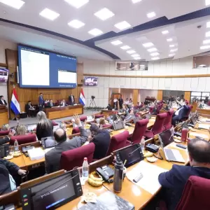 Senado insta a esclarecer el caso de gatillo f�cil y revisar el protocolo policial