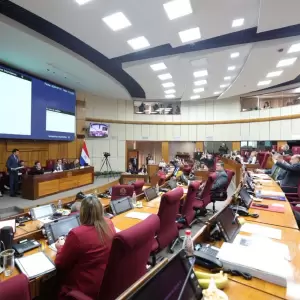 Senado recibir� al titular del IPS y al ministro de Econom�a por proyectos de bonos