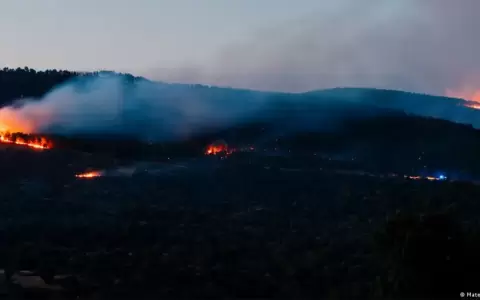 Imagen del incendio en Loyozuela, en la Comunidad de Madrid, este pasado jueves.