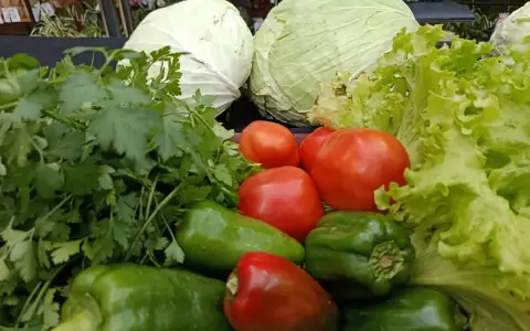 verduras