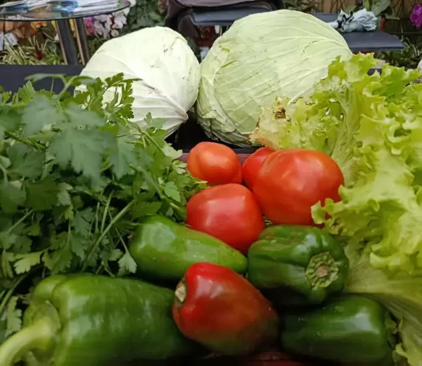 verduras