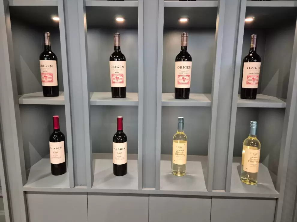 Vinos Trapiche. Foto: Macarena Barreto - El Nacional.
