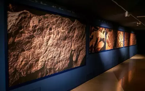 "La piedra y la luz", vista de sala.