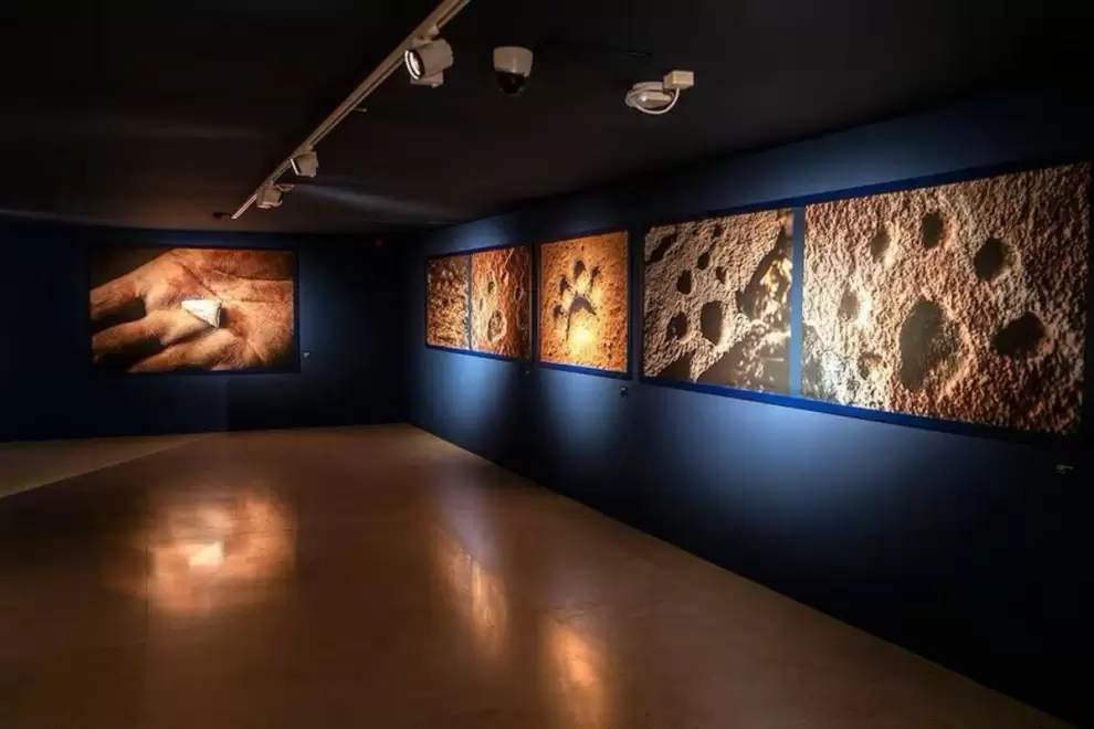 "La piedra y la luz", vista de sala.