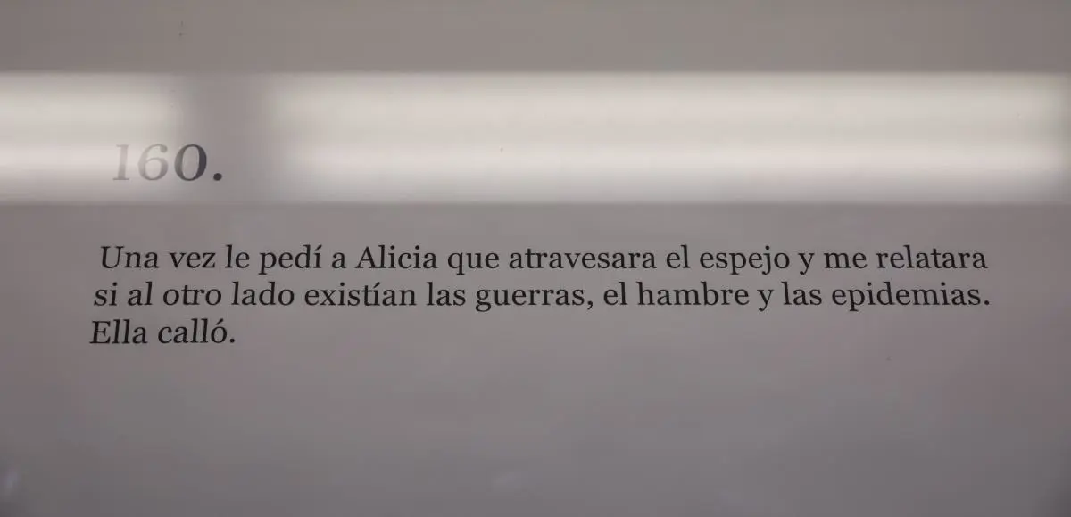 Ricardo Migliorisi, em713/em � Laura Mandelik.