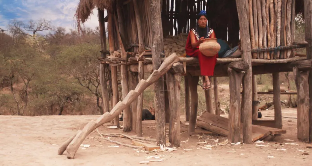 Joaqu�n S�nchez, emKambuchi/em, 2009, still video, 2' 45''