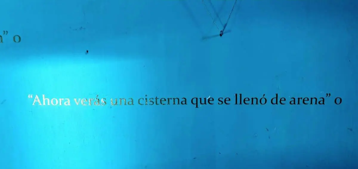 Silvana Dom�nguez, 