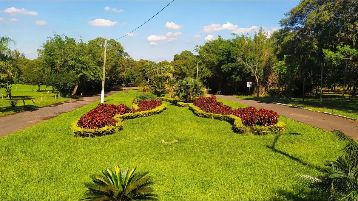 Jardín de la Señora, 2021 © Carlos Zárate