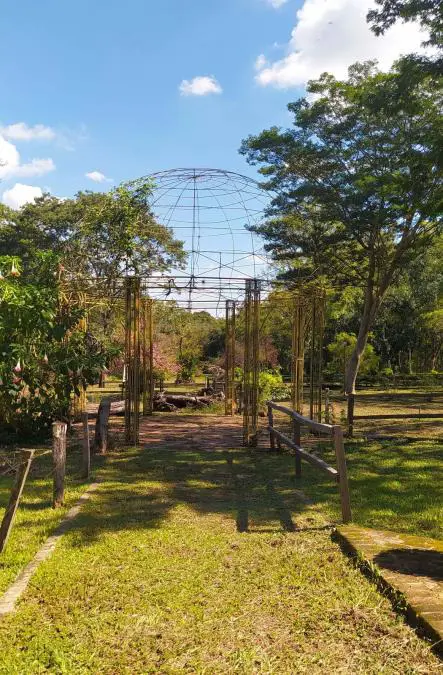 El Rosedal, 2021 © Carlos Zárate