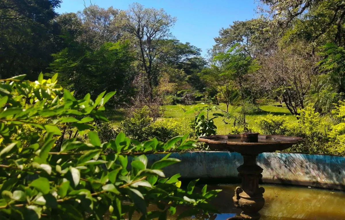 Jardín Kamba'i, 2021 © Marli Delgado
