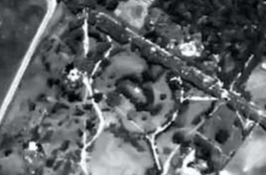 Vista aérea del Jardín Romano en 1951. emEl Botánico, nuestro jardín/em, 2014