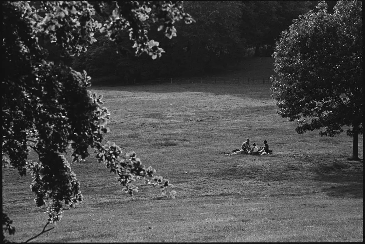 Javier Medina Verdolini, emHampstead Heath Park/em, Londres, 2018. Impresi�n inkjet