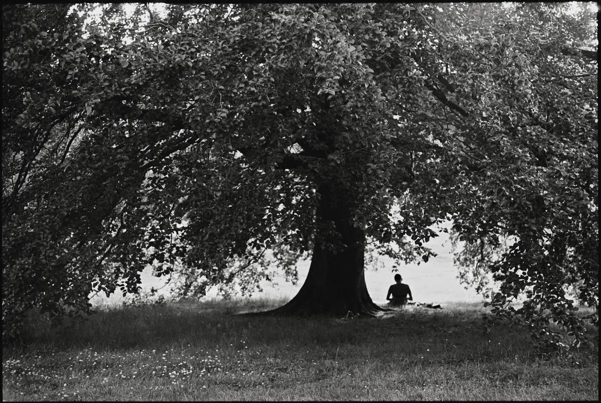 Javier Medina Verdolini, emHampstead Heath Park/em, Londres, 2018. Impresi�n inkjet