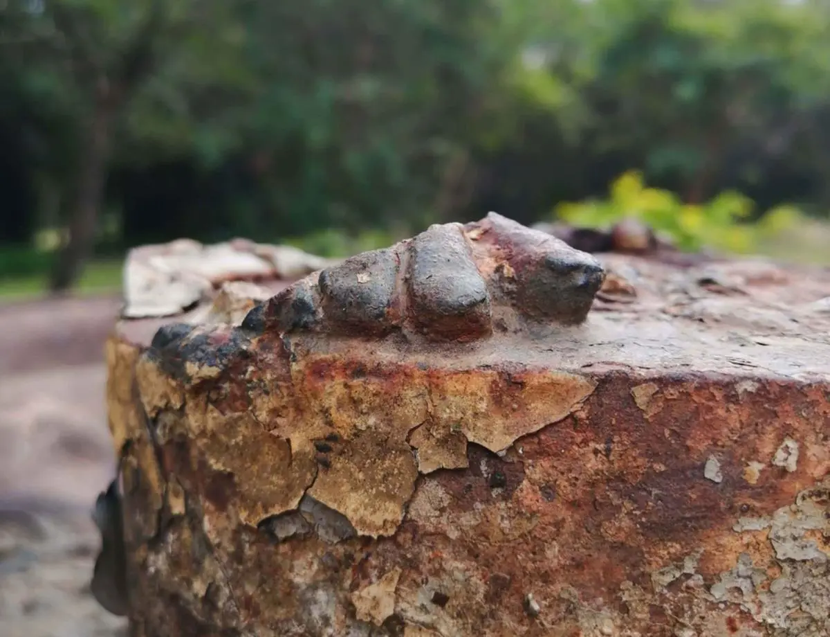 Vestigios de los dedos del ni�o de la escultura, 2021 � Marli Delgado