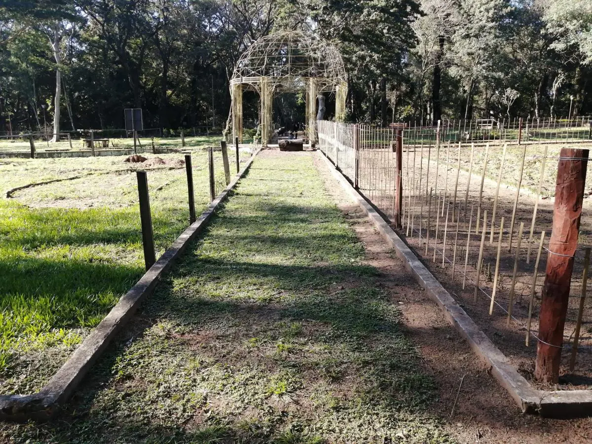 Rosedal. Vista hacia la avenida principal, 2021 � Marli Delgado