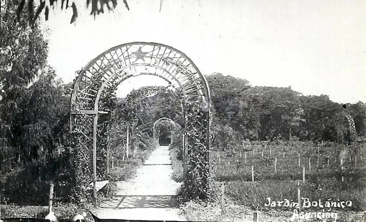 Rosedal, vista de uno de los paseos laterales, ca. 1920. Cortes�a