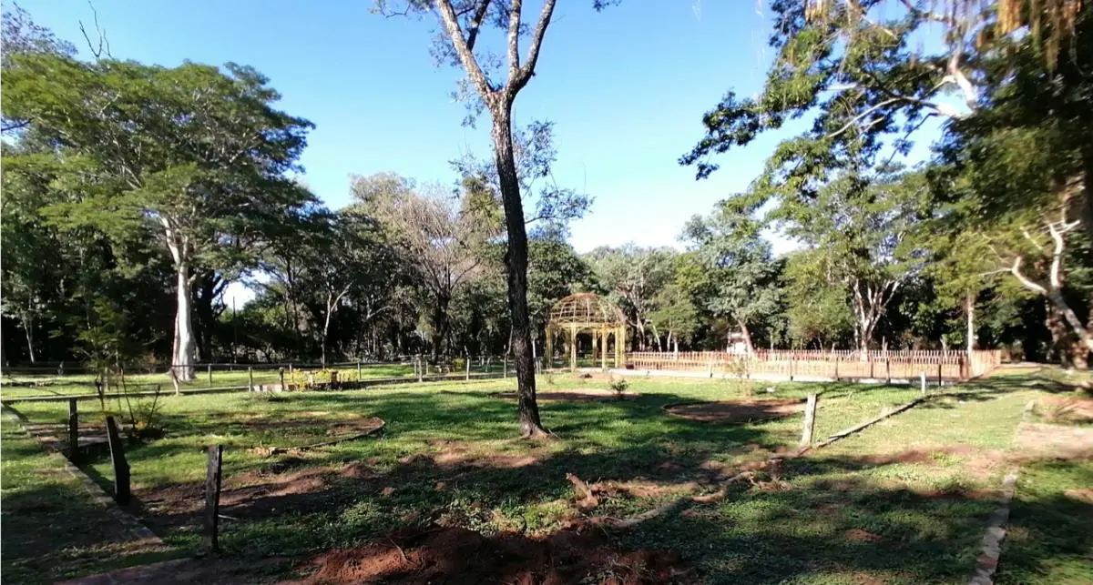 Rosedal, vista desde uno de los oct�gonos, 2021 � Marli Delgado
