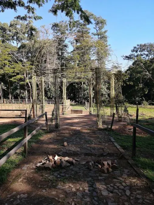 Rosedal, c�pula central, 2021 � Marli Delgado
