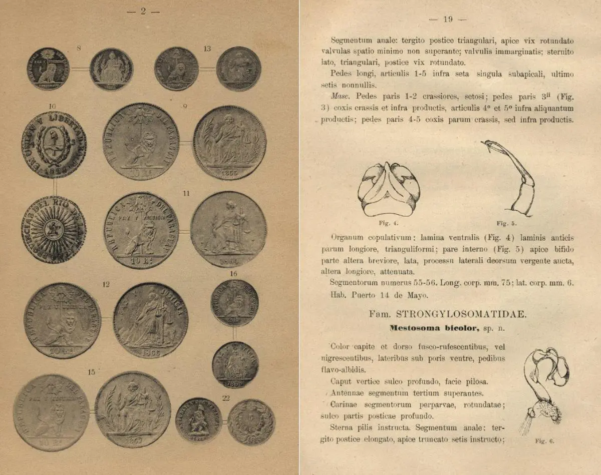 RIP, ilustraciones. Art�culo de Enrique Pe�a sobre numism�tica y otro de Guido Boggiani sobre cole�pteros de Paraguay. Colecci�n Vera-Scuderi. Cortes�a