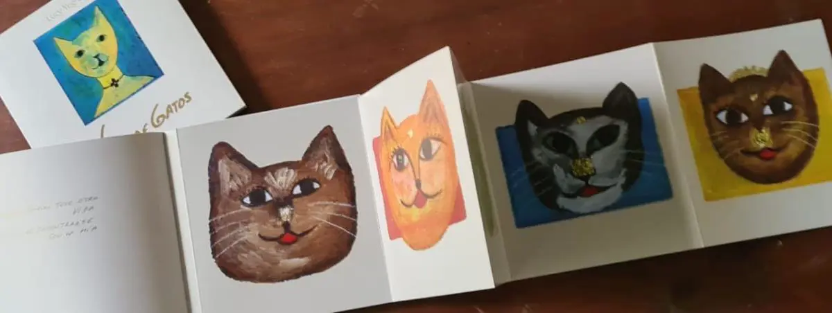 emVida de gatos./em Cortes�a
