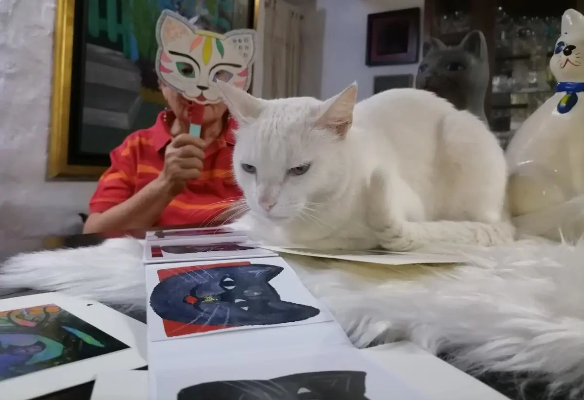 Vida de gatos. Lucy Yegros y Bianco. Cortes�a
