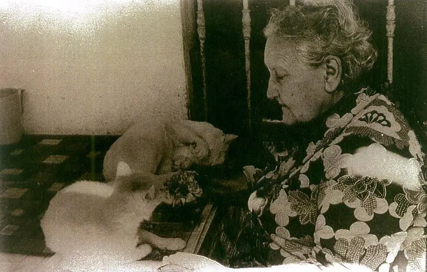 Josefina Pl� en su casa, junto a sus gatos. Cortes�a CCEJS