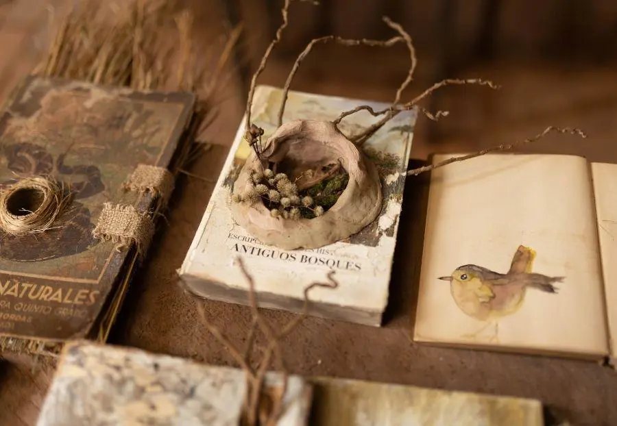 Noelia Buttice. De la serie emNidos/em, 2021. Cortes�a