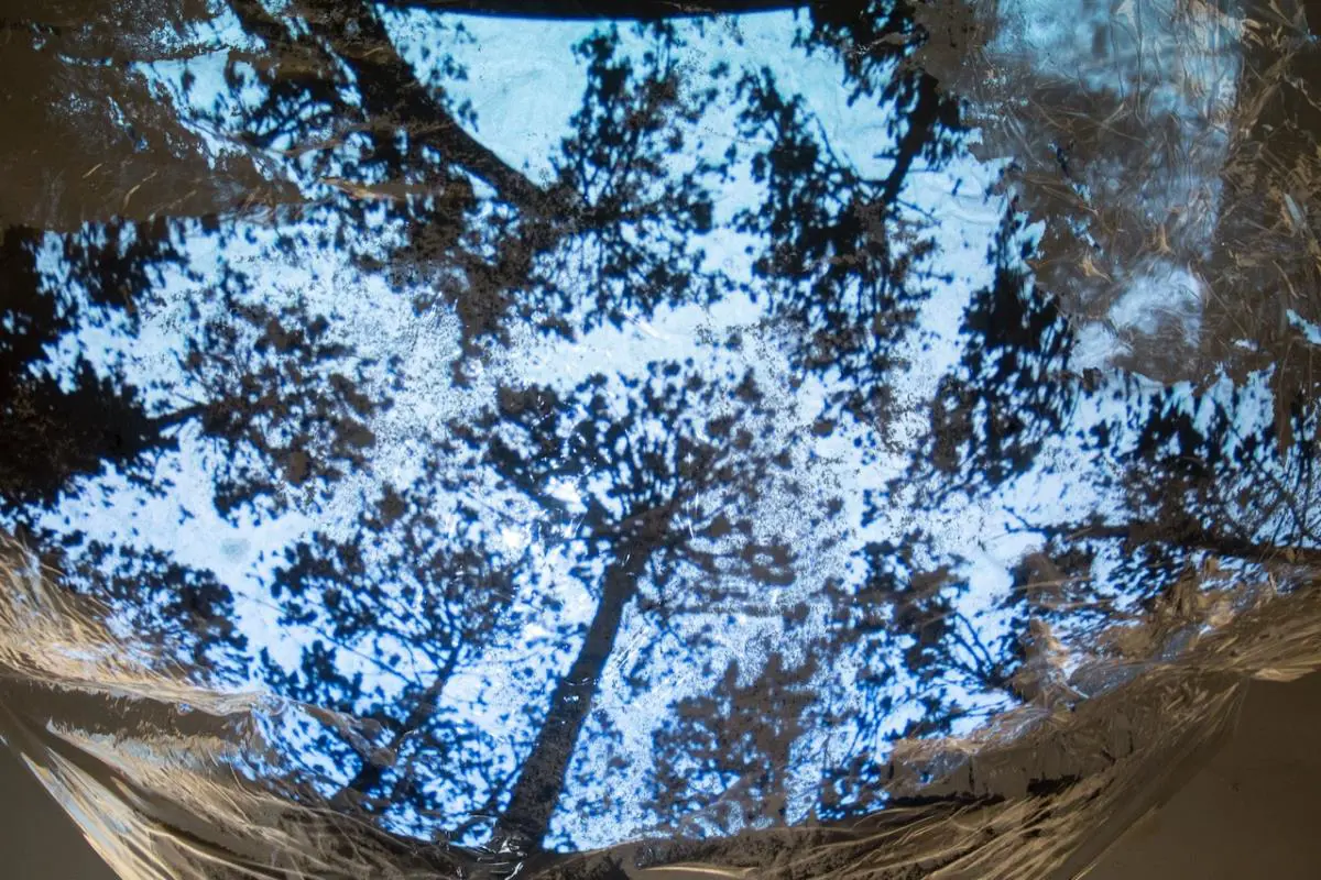 Bel�n Rodr�guez, emProyecciones sobre cenizas/em, 2019, instalaci�n � Javier Medina Verdolini