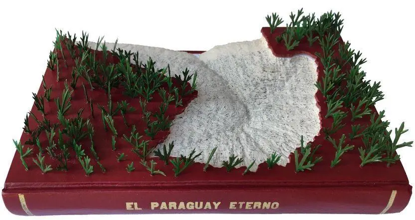 Luis Hern�ndez Mellizo. emEl Paraguay eterno/em (2021). Libro calado y ensamblaje. Cortes�a