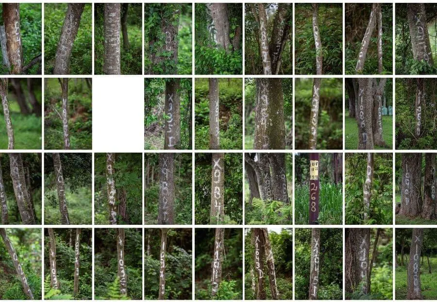 Luis Vera.�emMorituri te salutant/em, 2021. Fotograf�a. Cortes�a del artista