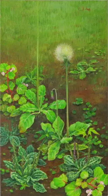 Yuki Hayashi, emDiente, llant�n, agrial/em, 2021. Cortes�a