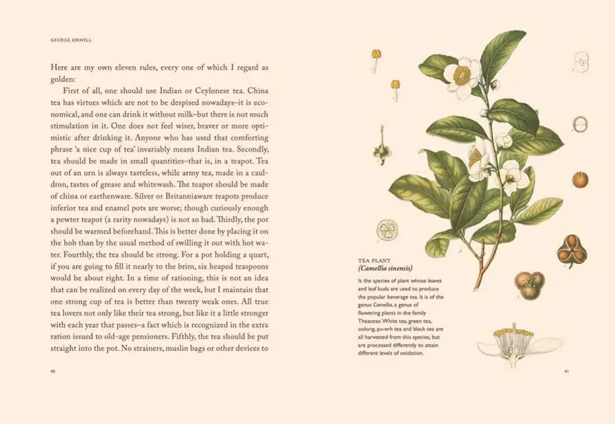 P�ginas de emA nice cup of tea and other essay/ems, Fernando More Publishing Limited, 2013. Cortes�a