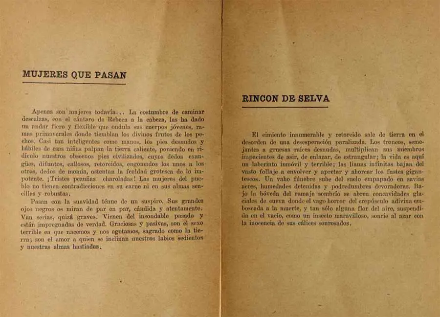 emEl dolor paraguayo/em, primera edición, Editorial La Protesta, Buenos Aires, 1909.