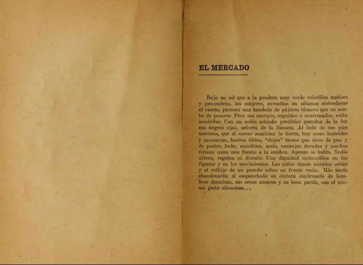 emEl dolor paraguayo/em, primera edición, Editorial La Protesta, Buenos Aires, 1909. Cortesía