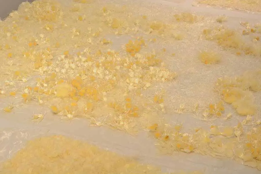 Karina Yaluk, de la serie emLas cosas de los mundos fluctuantes/em, seda y escamas de pescado, d�cada de 1990. Cortes�a