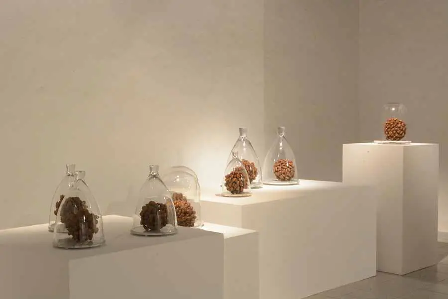 Karina Yaluk, emPlanetitas/em, exuvias de cigarras, 1998. Cortes�a