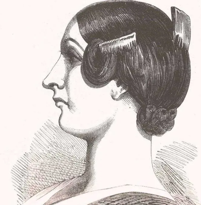 emKygua vera/em, grabado, 1850. Cortes�a